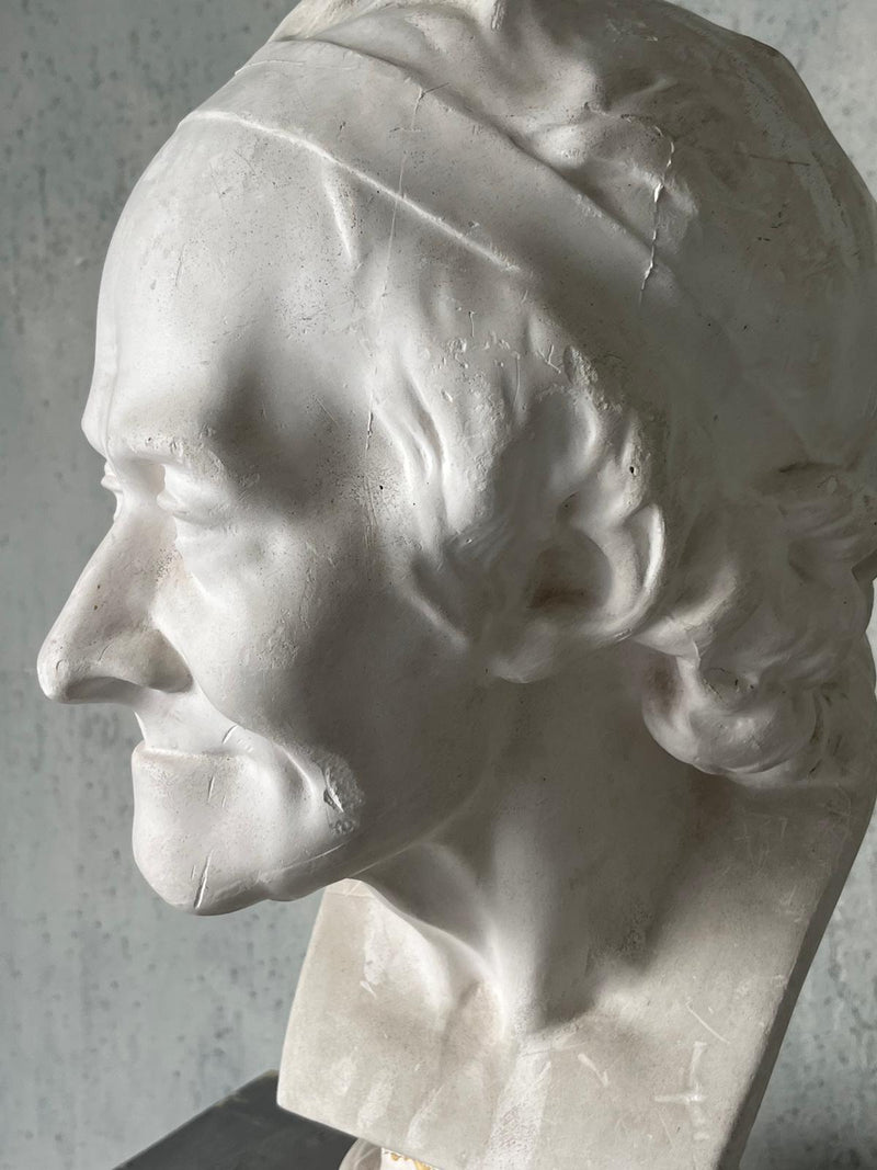 Voltaire bust