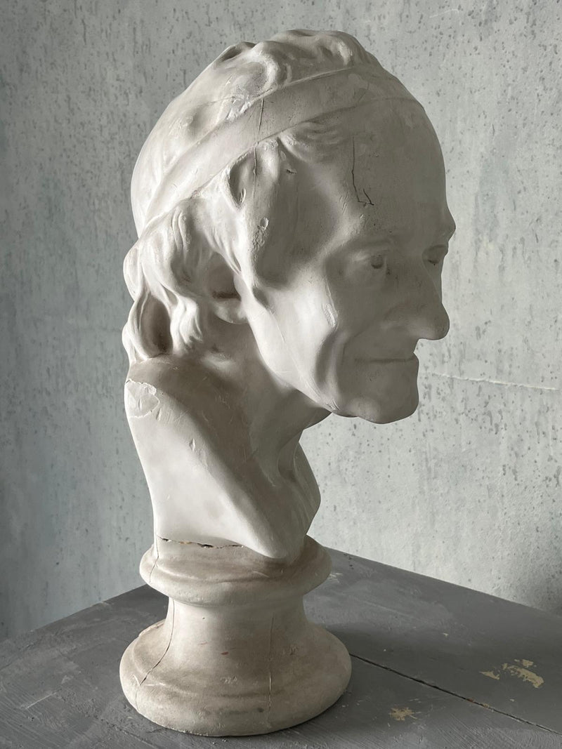 Voltaire bust