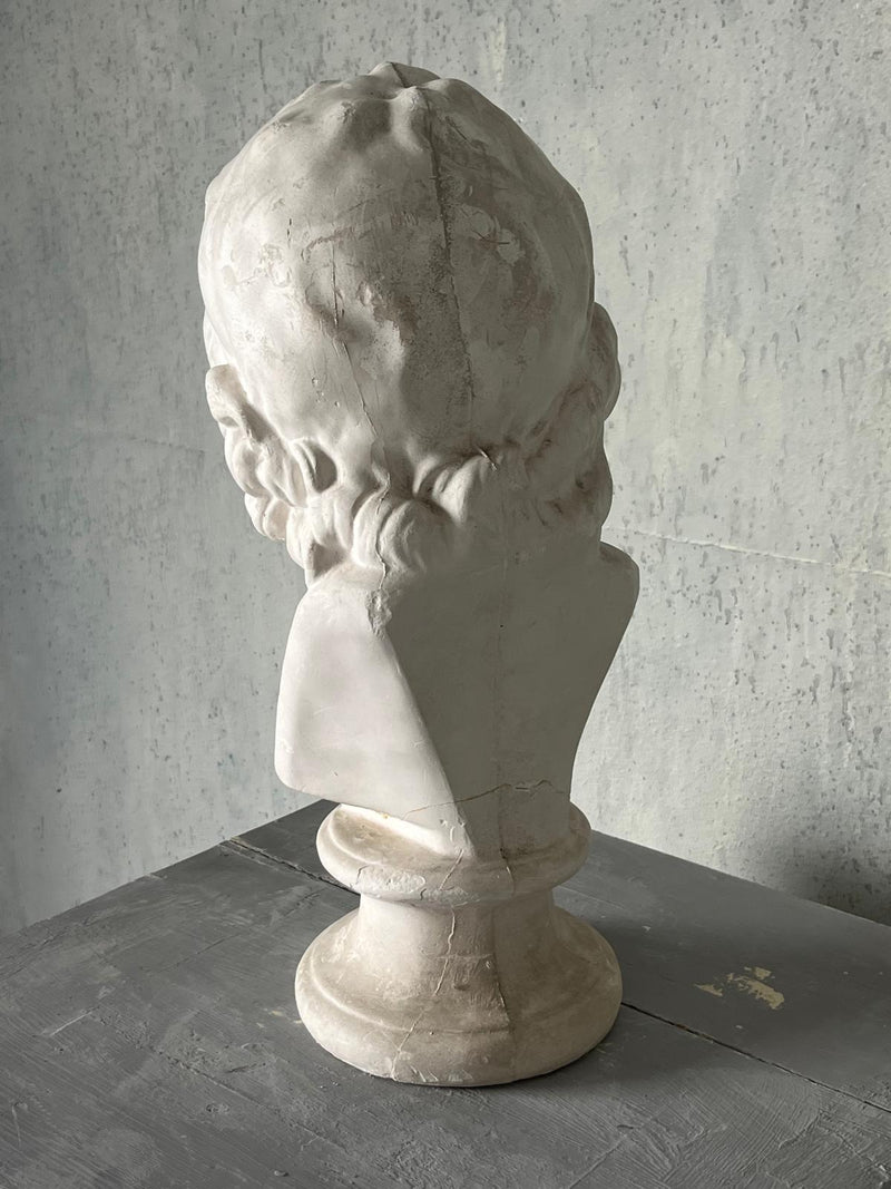 Voltaire bust