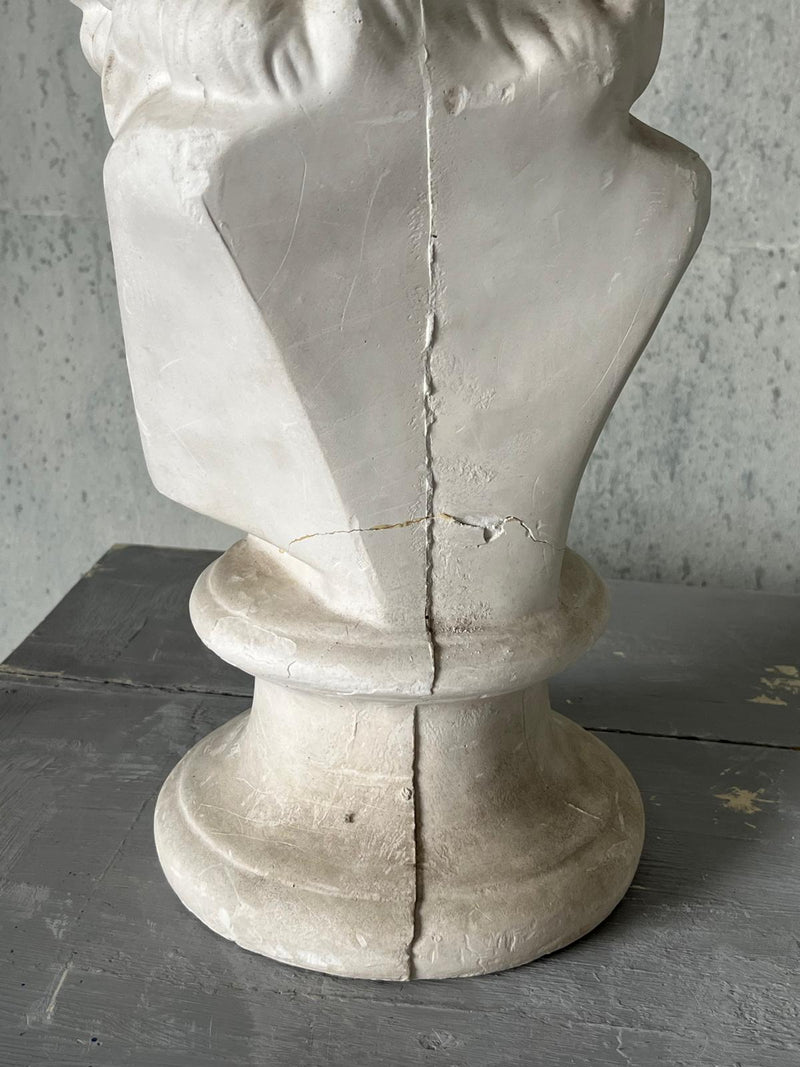 Voltaire bust